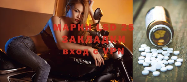 ПСИЛОЦИБИНОВЫЕ ГРИБЫ Тайга