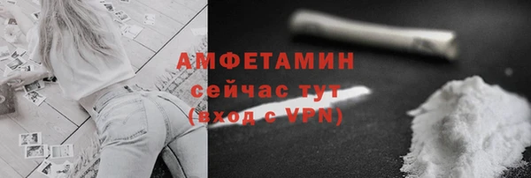 индика Кулебаки