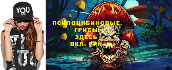 крисы Краснослободск