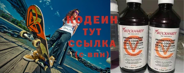 индика Кулебаки