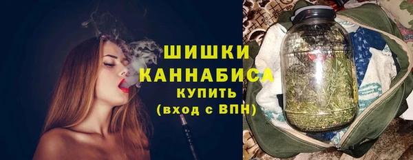 крисы Краснослободск