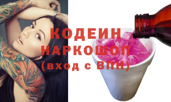 индика Кулебаки